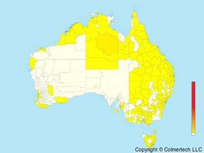 Helmeted Guineafowl (Numida meleagris) - Australia