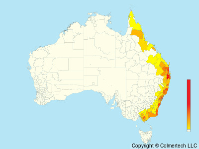 Eastern Whipbird (Psophodes olivaceus) - Australia