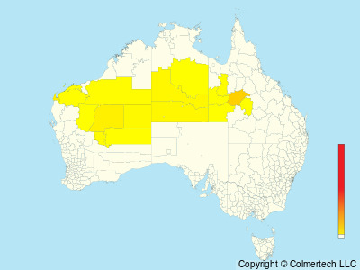 Rufous-crowned Emuwren (Stipiturus ruficeps) - Australia