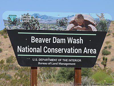 Beaver Dam Wash National Conservation Area - Entrance Sign