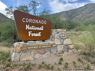 Coronado National Forest - Entrance Sign
