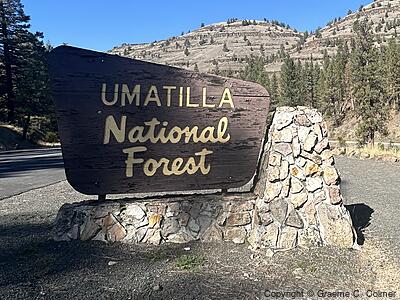 Umatilla National Forest - Entrance Sign
