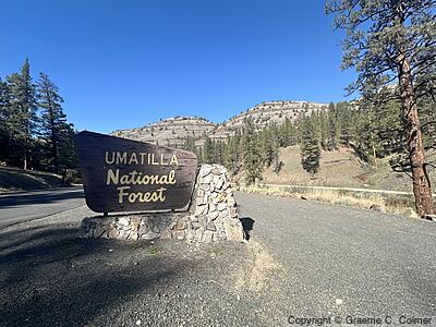 Umatilla National Forest - Entrance Sign