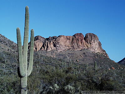 Tonto National Monument - Landscape