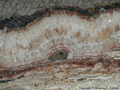 Jewel Cave National Monument - Cave Formations