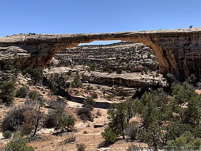 Natural Bridges National Monument - Owachomo Bridge
