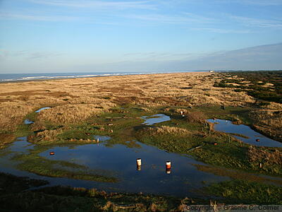 Olympic National Park - Landscape