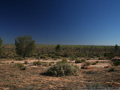 Kinchega National Park - Landscape