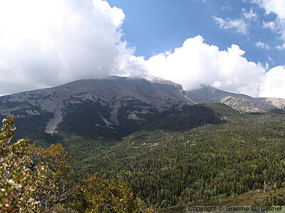 Great Basin National Park - Landscape
