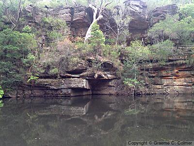 Royal National Park - Landscape