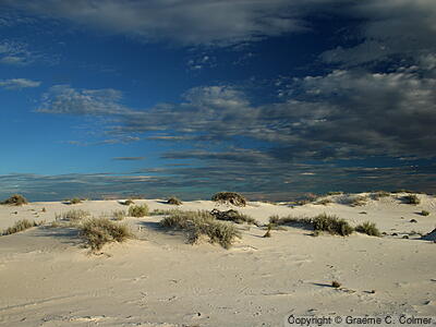 White Sands National Park - White Sands