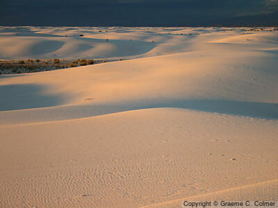 White Sands National Park - White Sands