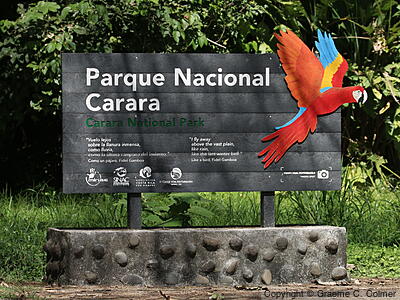 Carara National Park