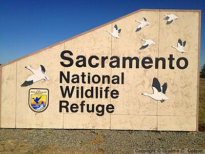 Sacramento National Wildlife Refuge - Old Entrance Sign (2013)