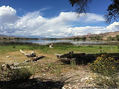 Pahranagat National Wildlife Refuge - Habitat