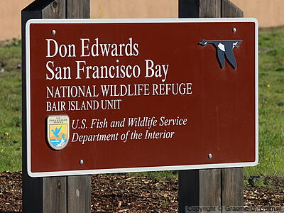 Don Edwards San Francisco Bay National Wildlife Refuge - Bair Island Unit