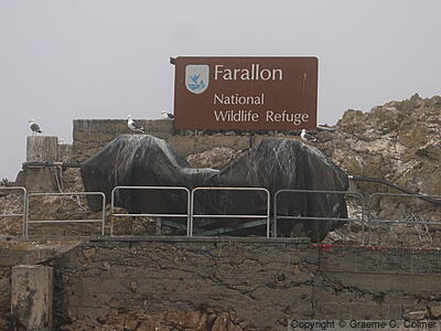 Farallon National Wildlife Refuge - Farallon NWR