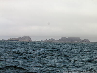 Farallon National Wildlife Refuge - Farallon Islands