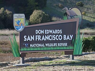 Don Edwards San Francisco Bay National Wildlife Refuge - Entrance