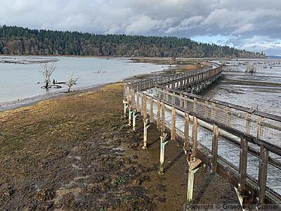 Billy Frank Jr. Nisqually National Wildlife Refuge - Nisqually Boardwalk