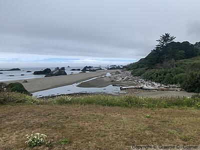 Oregon Islands National Wildlife Refuge - Landscape