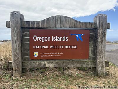 Oregon Islands National Wildlife Refuge - Entrance