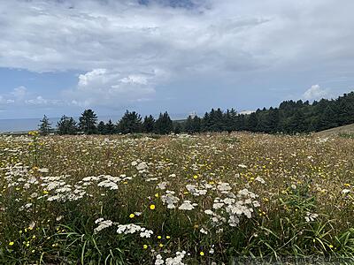 Nestucca Bay National Wildlife Refuge - Landscape