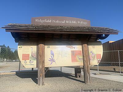 Ridgefield National Wildlife Refuge - Entrance