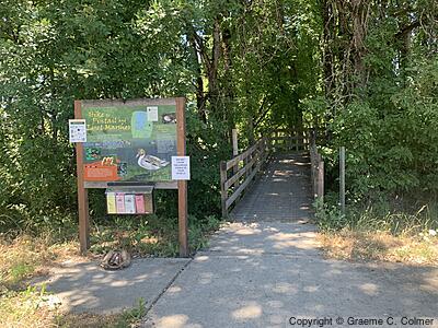 Ankeny National Wildlife Refuge - Pintail and Egret Marshes