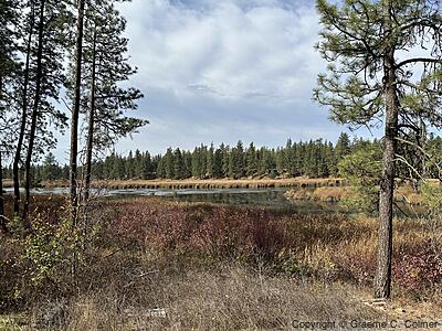 Turnbull National Wildlife Refuge - Landscape
