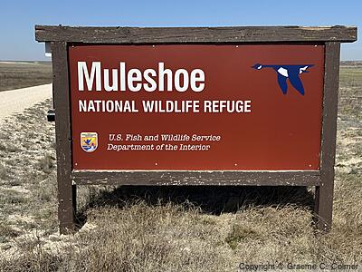 Muleshoe National Wildlife Refuge - Entrance