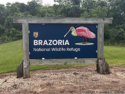 Brazoria National Wildlife Refuge - Entrance