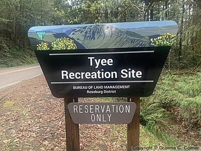 Tyee Recreation Site - Entrance Sign