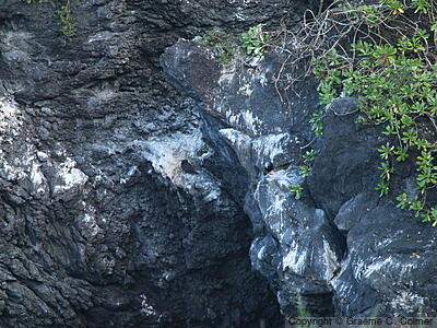 Waiʻanapanapa State Park - Landscape