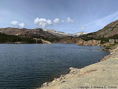 Walker Lake State Recreation Area - Walker Lake
