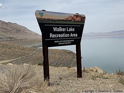 Walker Lake State Recreation Area - Entrance Sign