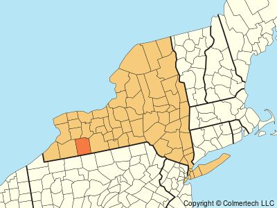 Allegany County, New York