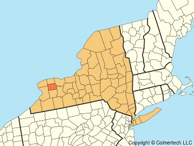 Genesee County, New York