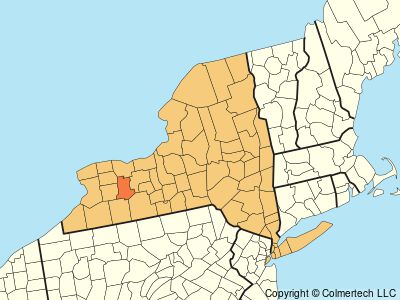 Livingston County, New York