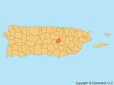 Comerío, Puerto Rico
