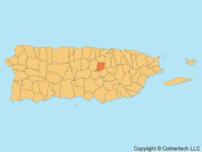 Naranjito, Puerto Rico
